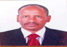 محمد حامد محمد علي